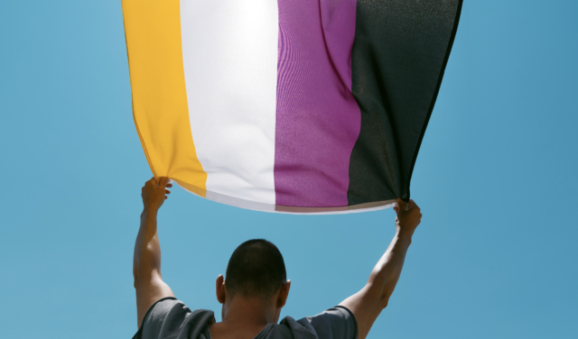 2024/12/Nonbinaryflag.png